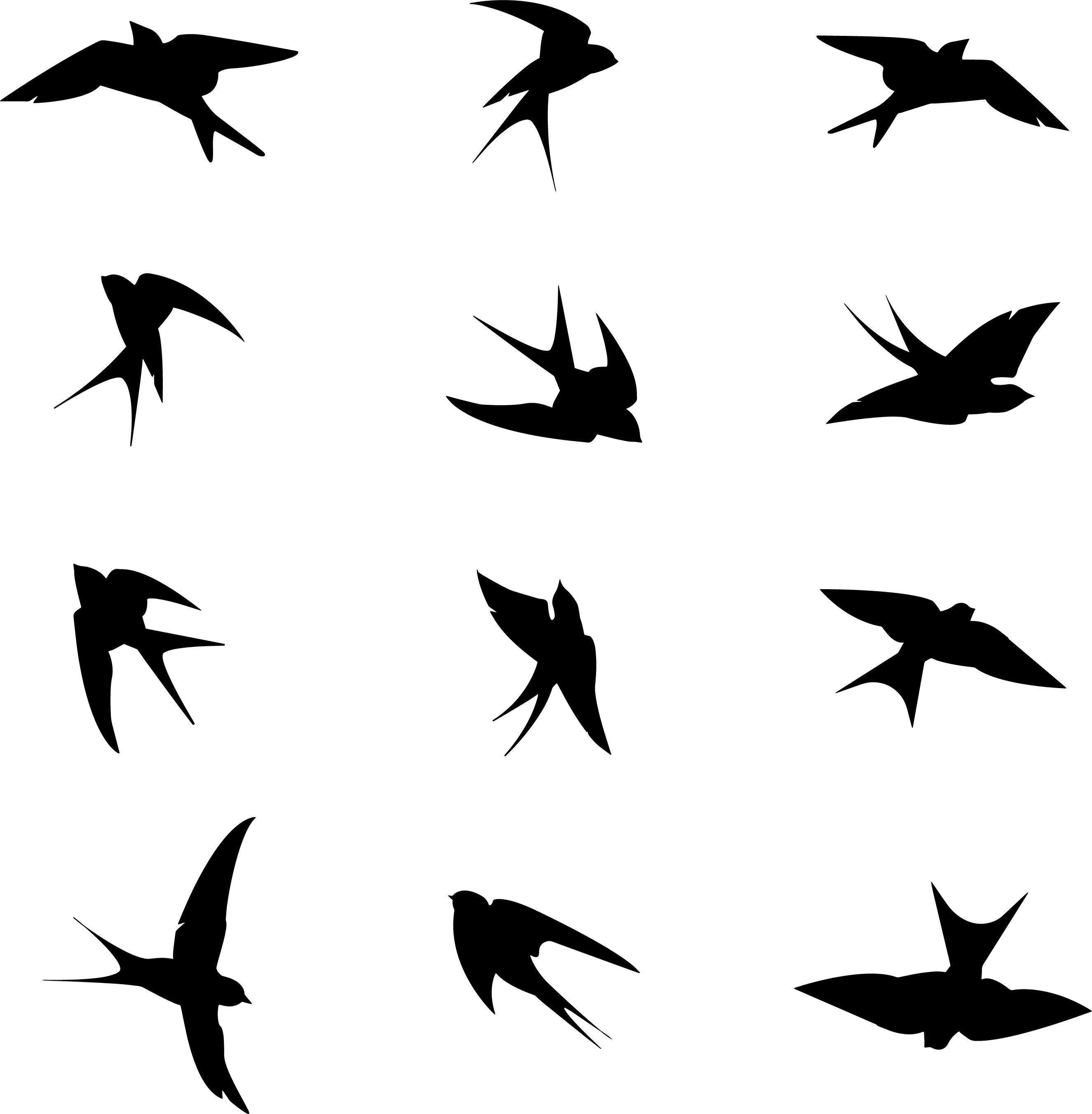 24x Anti-Collision Window Bird Stickers Decals - Protect Birds from Window Collisions