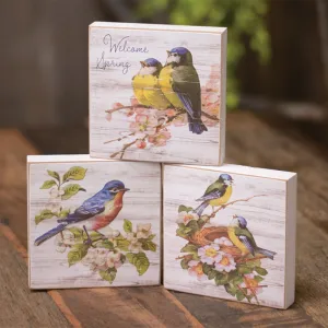 Blue Bird Spring Block