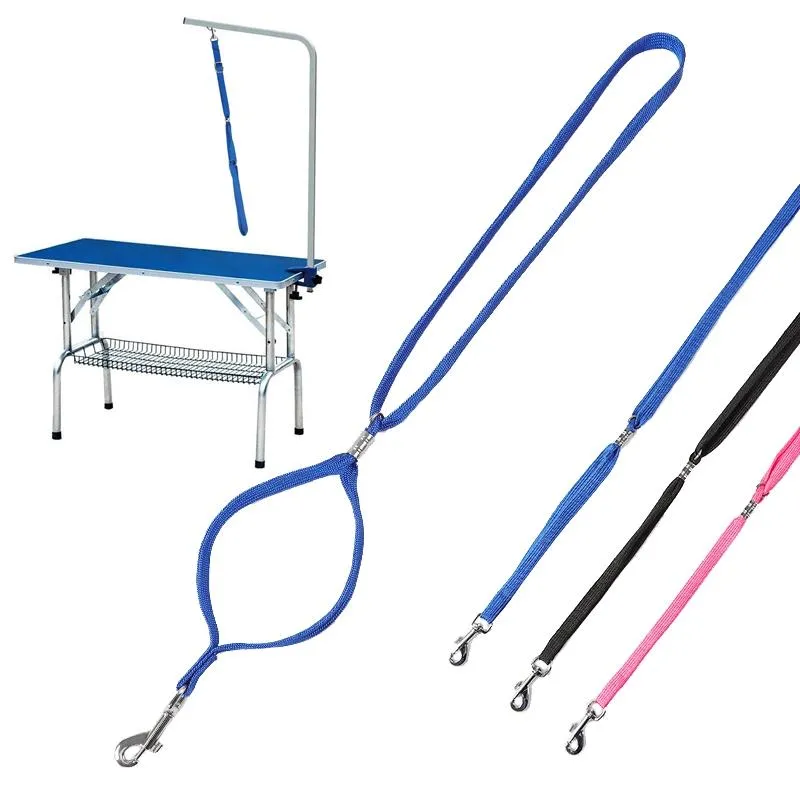 Blue Dog Grooming Table Traction Rope
