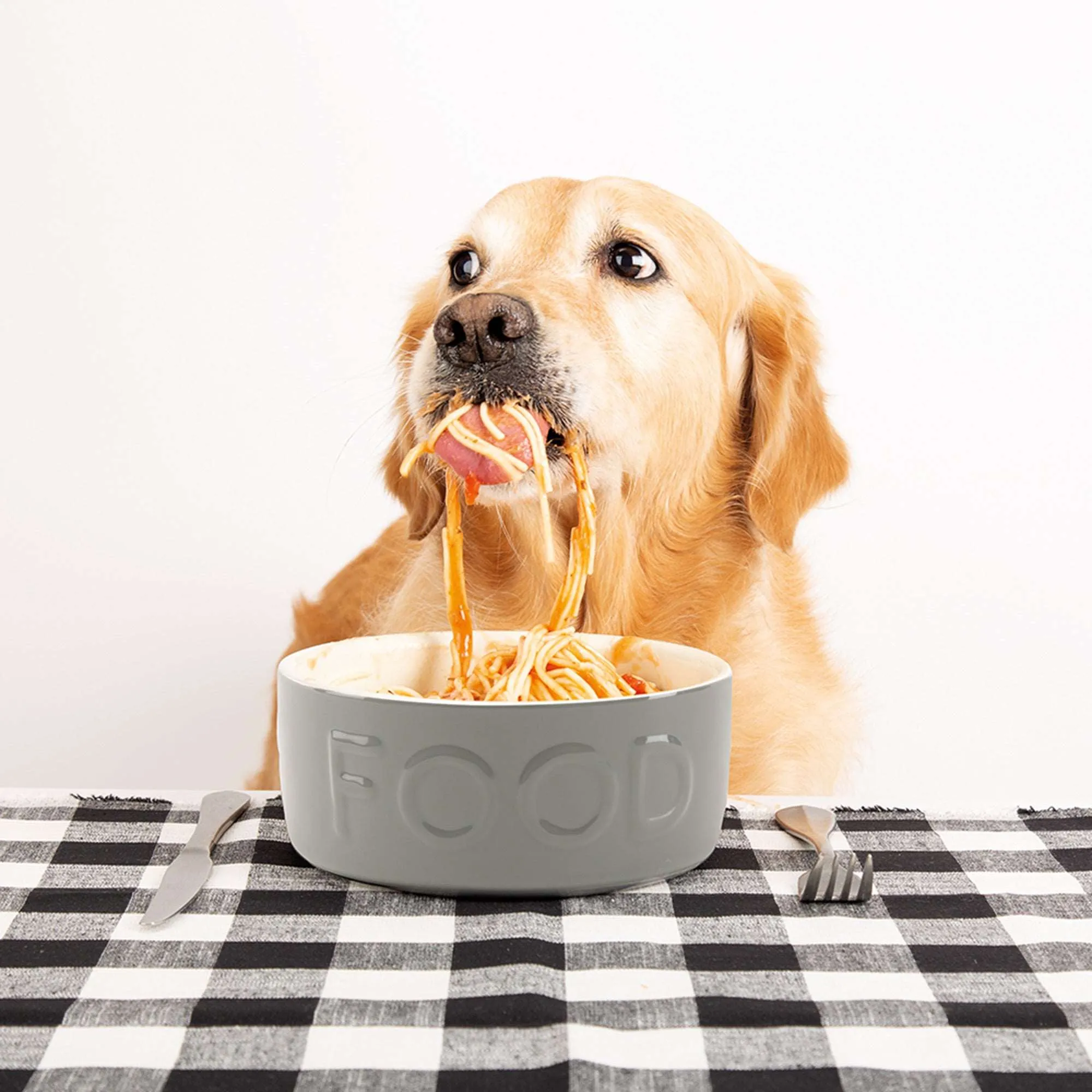 Ceramic Classic Dog Food Bowl
