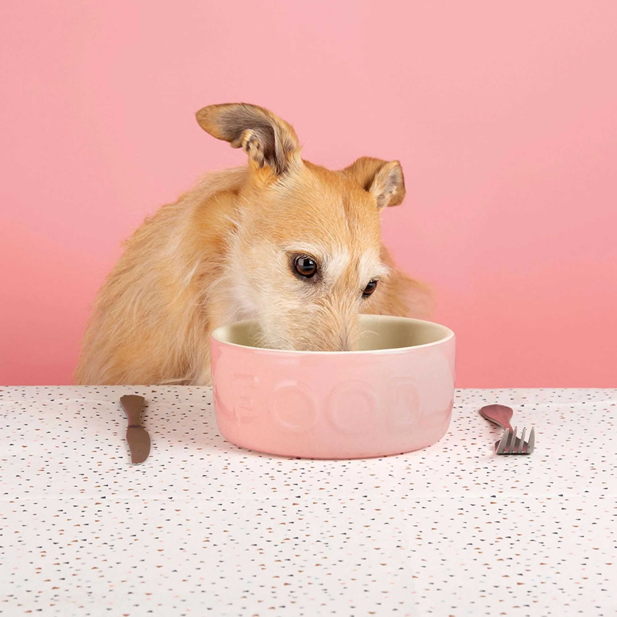 Ceramic Classic Dog Food Bowl