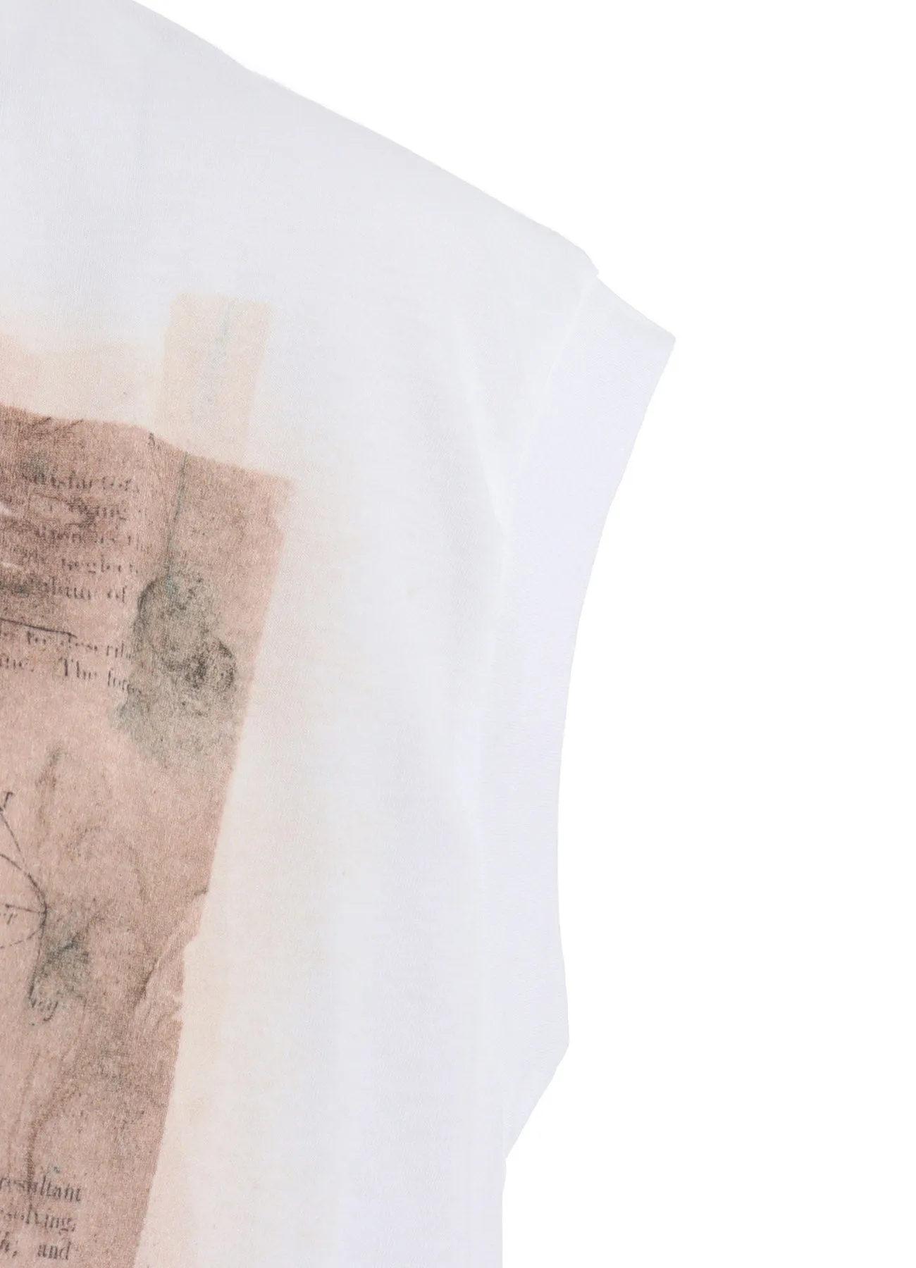 COTTON JERSEY BIRD PRINT FRENCH SLEEVE SHIRT