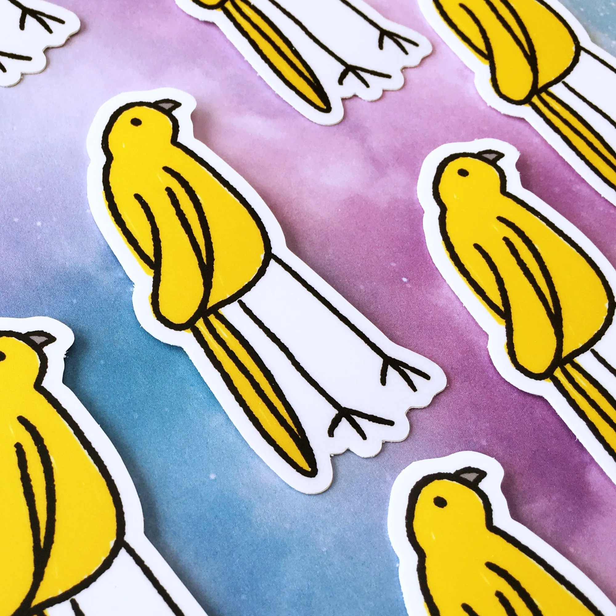 Optimist Bird Sticker