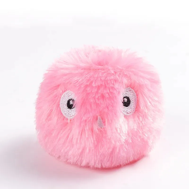 Pet Toy Ball