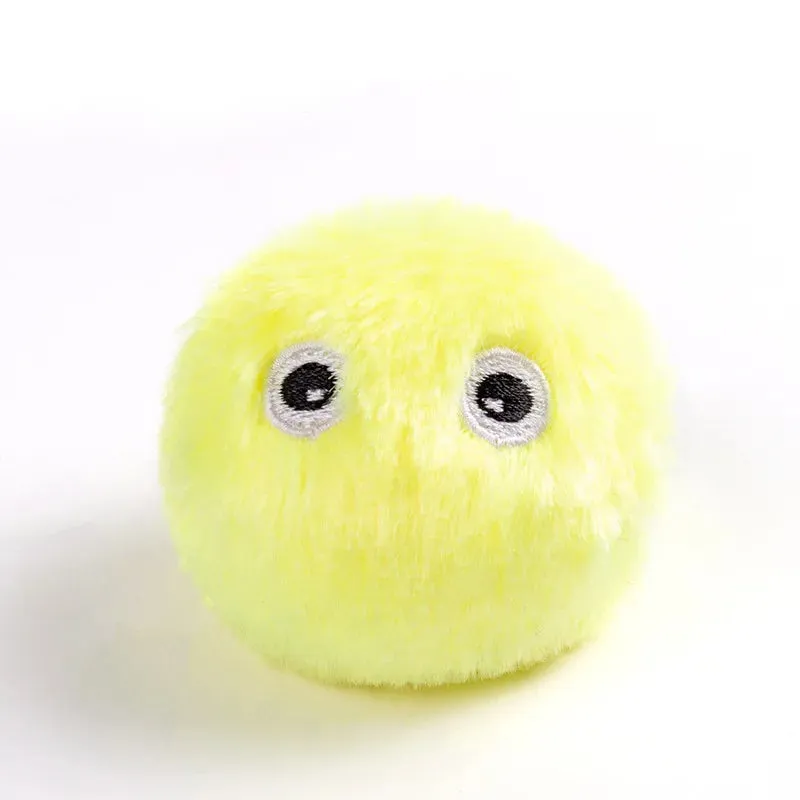 Pet Toy Ball