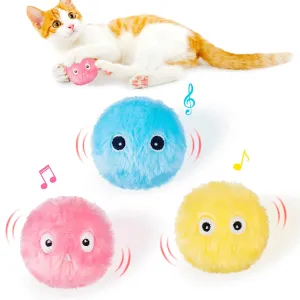Pet Toy Ball