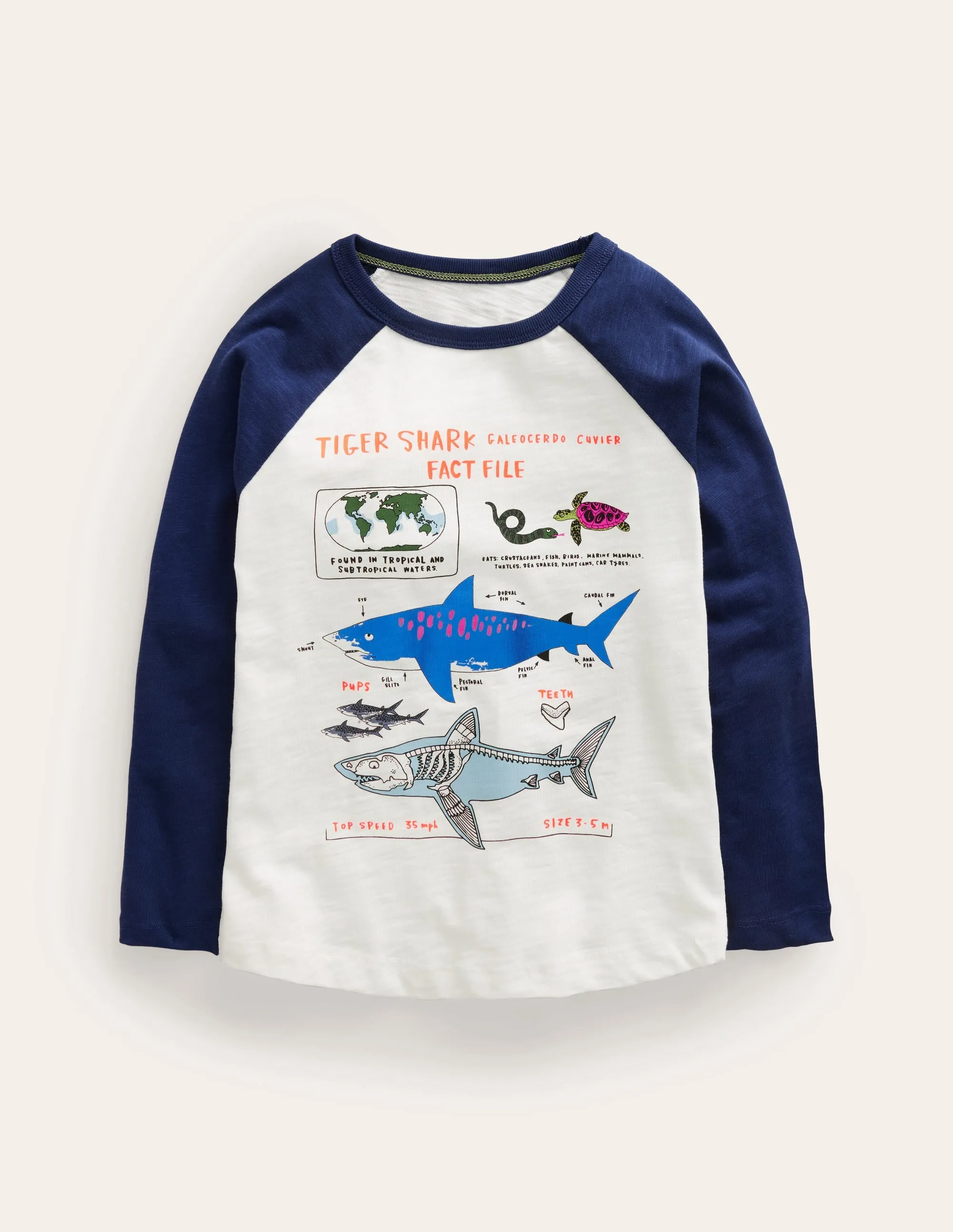 Raglan Fact File T-shirt-Ivory/Navy Sharks