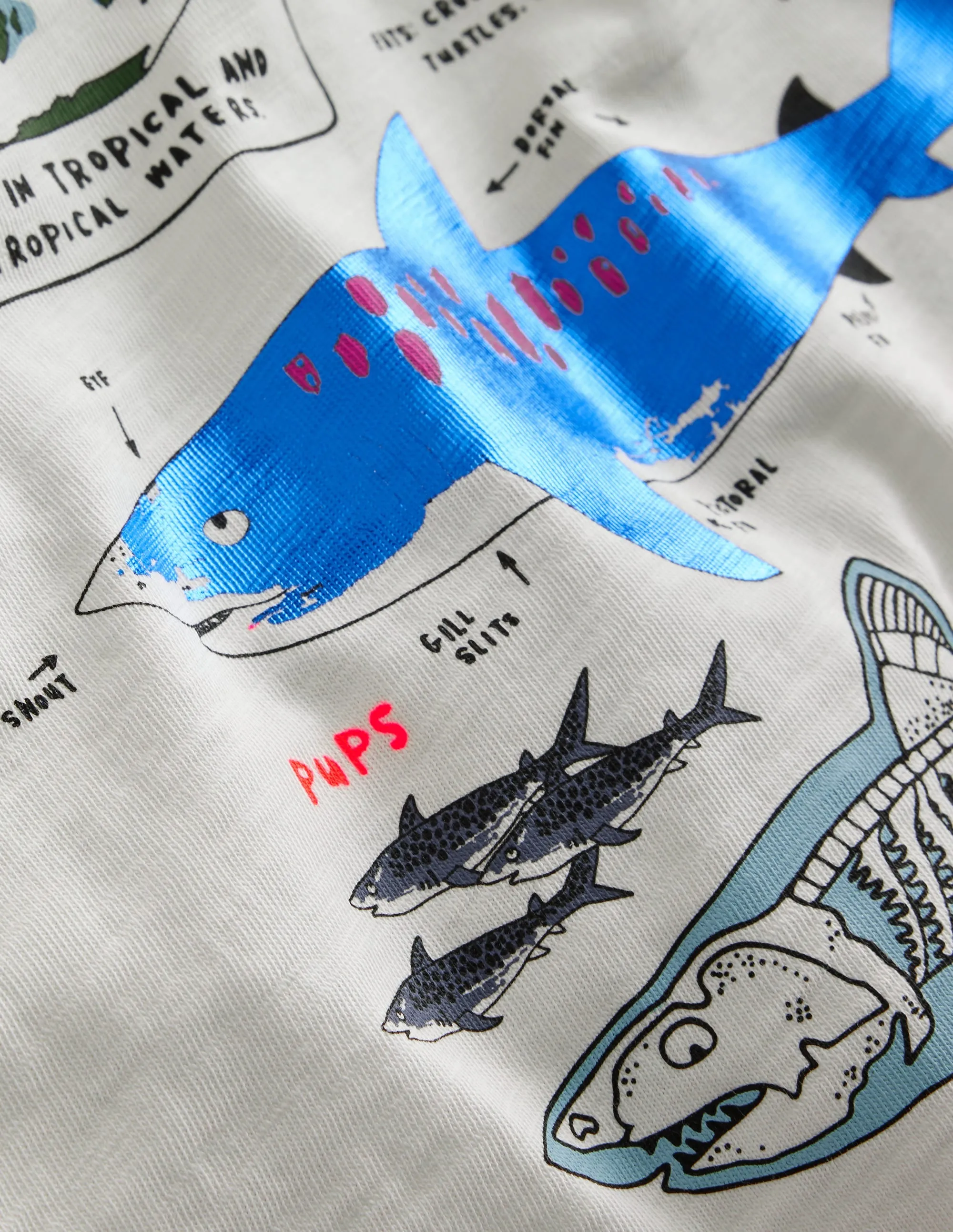 Raglan Fact File T-shirt-Ivory/Navy Sharks