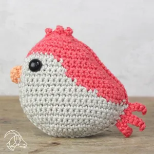 Red Bird Crochet Kit