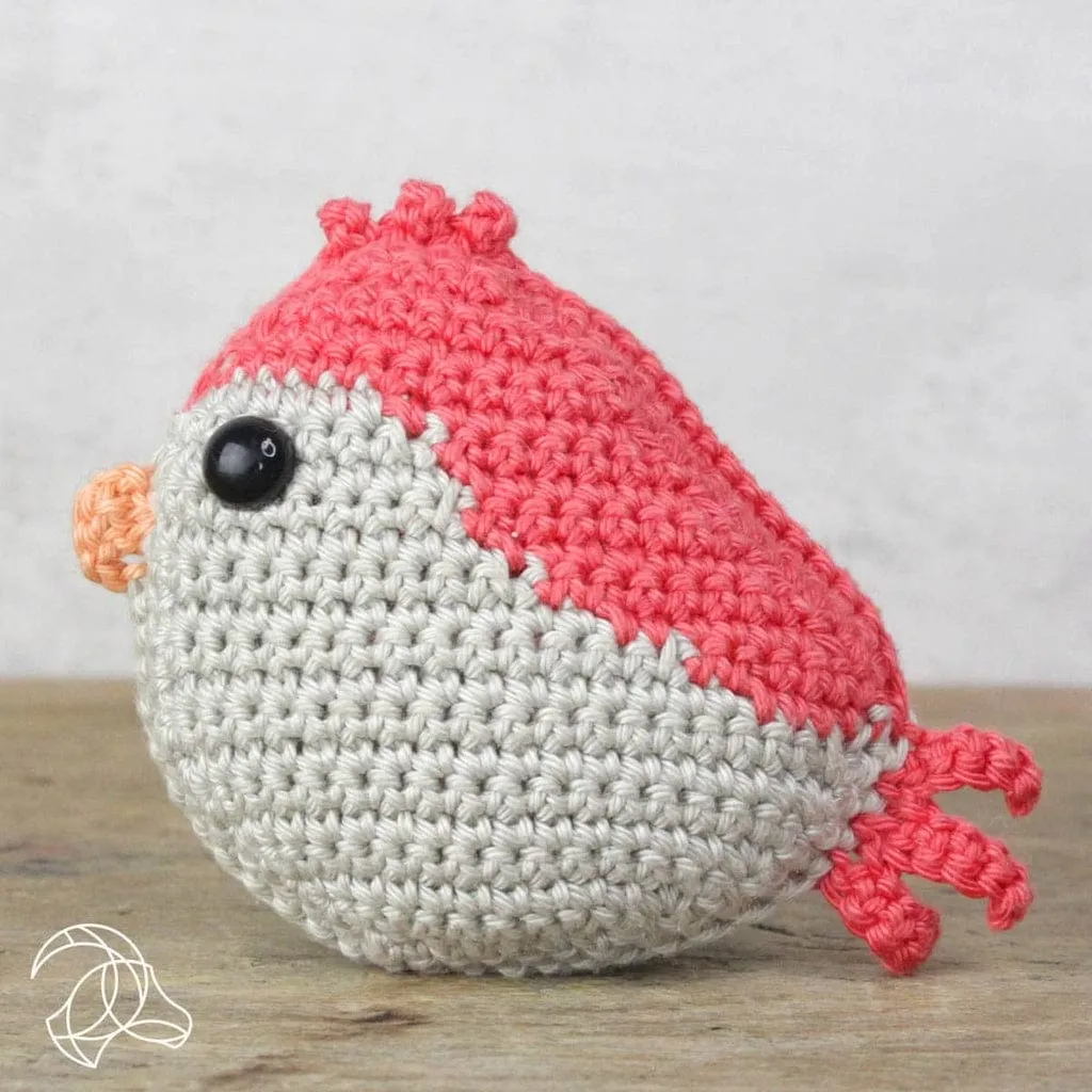 Red Bird Crochet Kit