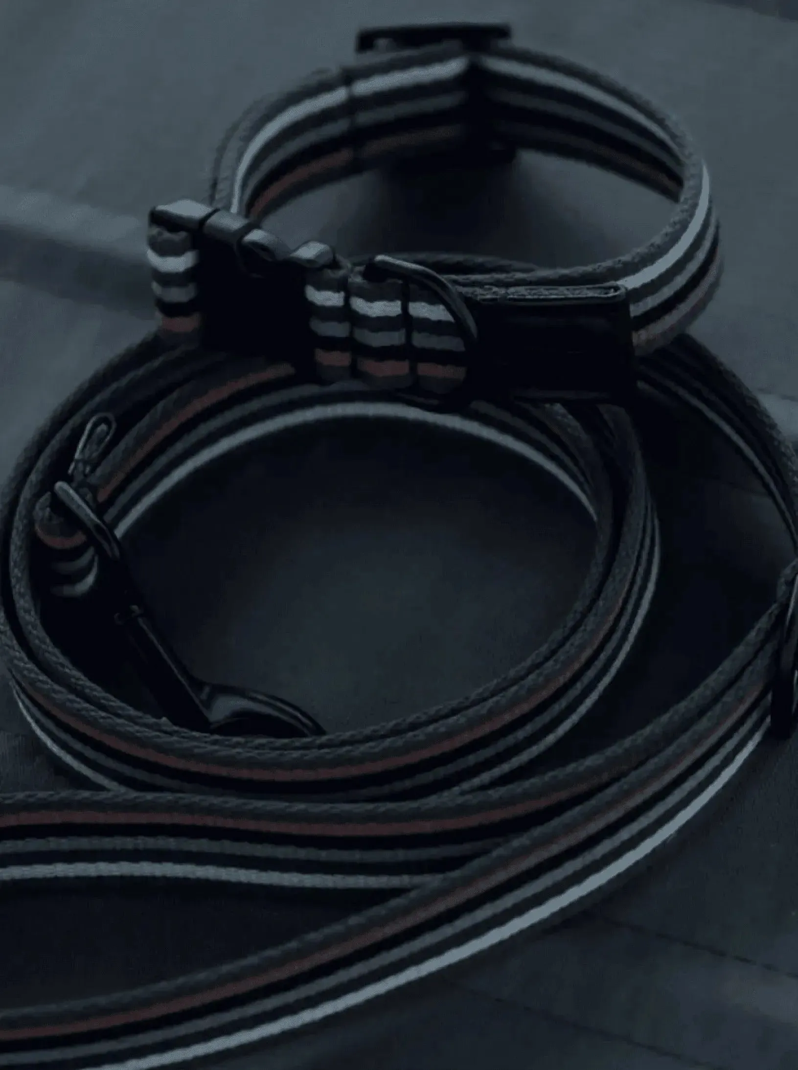 [RoamRoam X ULA HOUND] COLLAR & LEASH SET