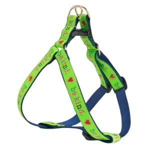 Teacup Harness | Be Kind