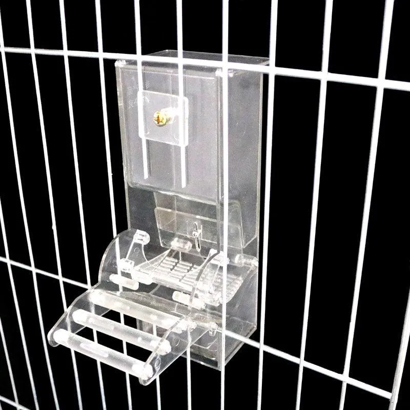 White Plastic Feeder For Birds